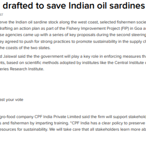 Plan being drafted to save Indian Oil Sardine